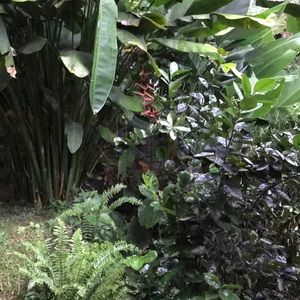 Meet your Posher, Blair